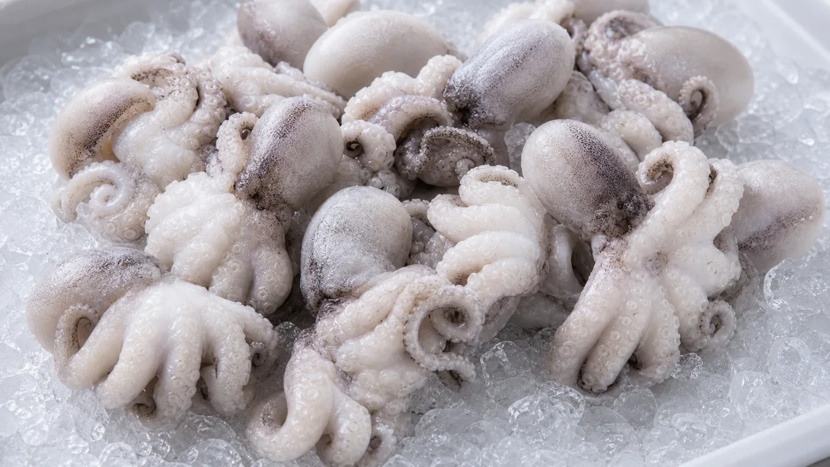 Frozen octopus