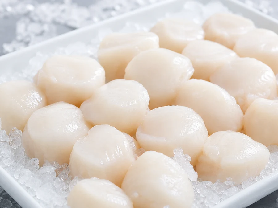 Frozen scallop meats